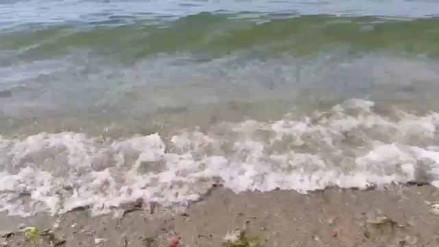 Вернувшись из поездки на своей машине за пределы страны, некоторым придется выложить денежки. смотреть онлайн