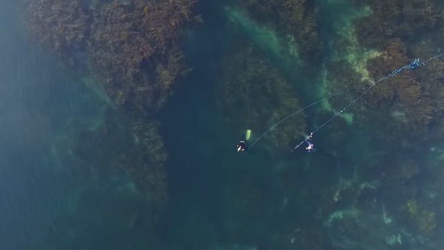 Bay of Islands at it's best-Bland Bay-Drone-Flat Rock-2016 HD смотреть онлайн