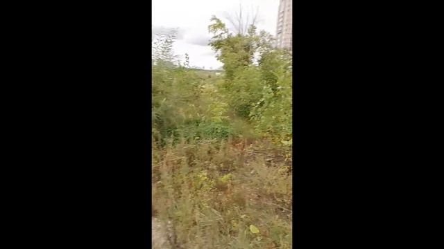 мальчика избивал какой-то чел и я решил ему помоч🥵🥶🤬 смотреть онлайн