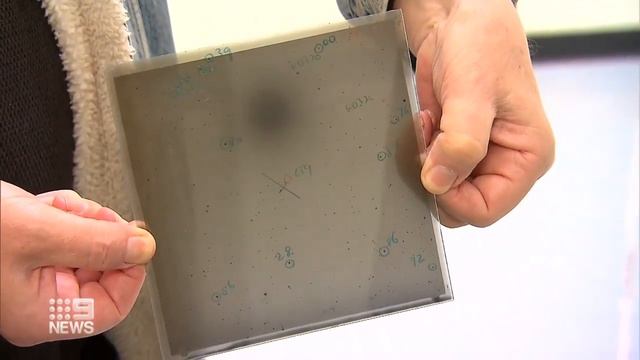 Minor Planet Named After Perth Observatory Astronomer Craig Bowers смотреть онлайн