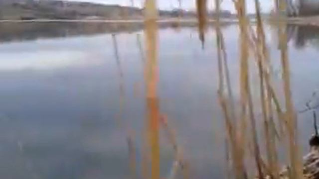 Рыбалка и природа... смотреть онлайн