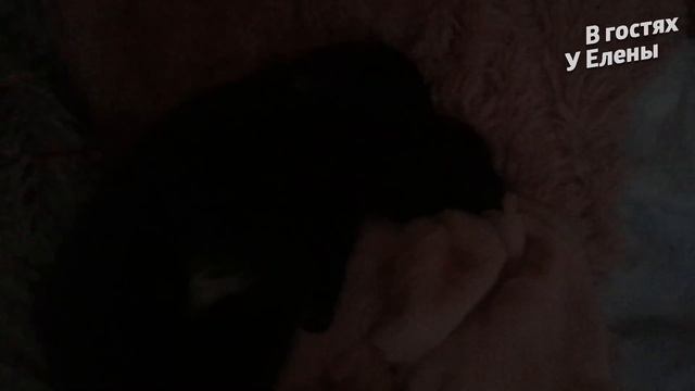 УКРАШАЕМ ДОМ К НОВОМУ ГОДУ 2022? ❄ ПОДГОТОВКА ❄ДЕКОР СВОИМИ РУКАМИ смотреть онлайн