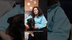 Стоит ли заводить эту собаку если у вас маленький ребенок (малинуа)