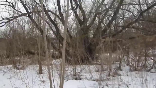 Х Трайл. Проводы зимы 2013. смотреть онлайн