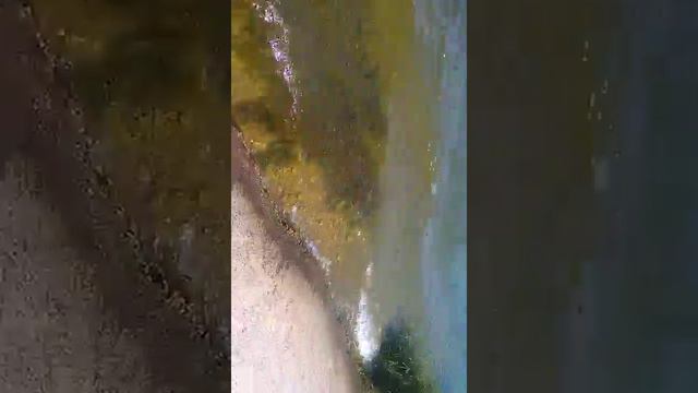 Как надо ловить креветок!!! смотреть онлайн