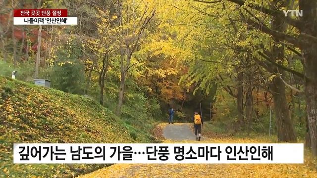 남녘에도 울긋불긋 단풍 절정...나들이객 인산인해 / YTN смотреть онлайн