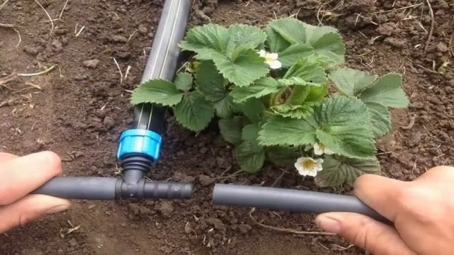 Комплектующие Для Капельного Полива смотреть онлайн