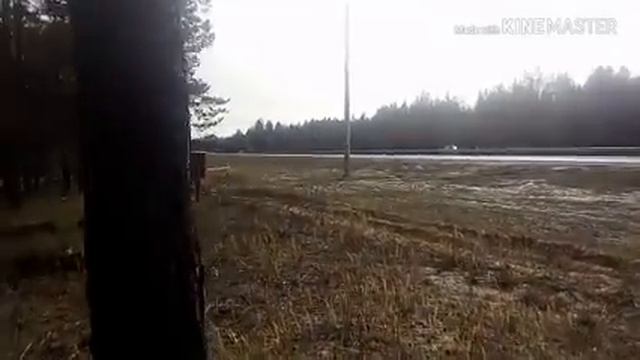 Накрываю на стол с утра.Марийский лес.Где видео?Ламинат,линолеум? смотреть онлайн