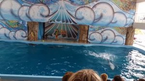 Дельфинарий Лазаревский Морская звезда Новое шоу дельфинов Полное представление