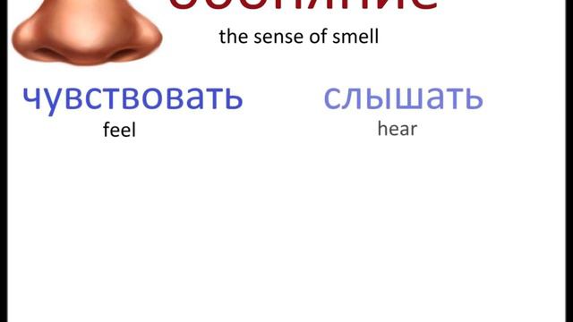 № 128 Учим русский : ПЯТЬ ЧУВСТВ смотреть онлайн