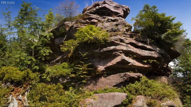 Canon EOS 5d Mark Iv Sample Images | Canon 5D M4 Test