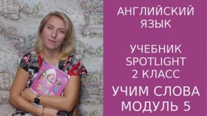 Учебник Spotlight 2 класс, 5 модуль, учим слова