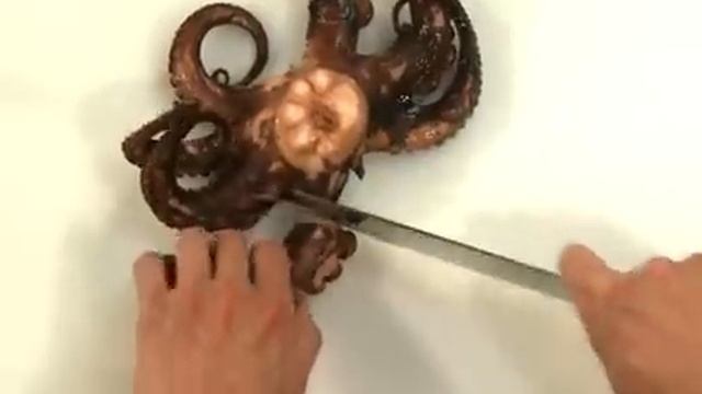 Rezept Oktopus vorbereiten смотреть онлайн