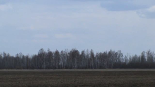 Отлично покопали на перепаханном поле, полные карманы находок / МОНЕТЫ / СЕРЕБРО смотреть онлайн