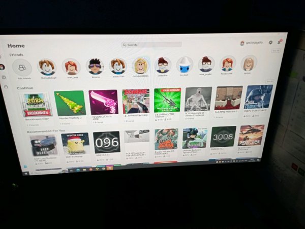 играю в роблкс