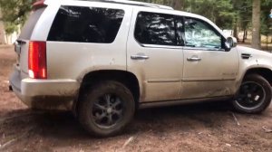 Кадиллак Эскалэйд в лесу. Легкое бездорожье. Звук Работы Эскалэйд