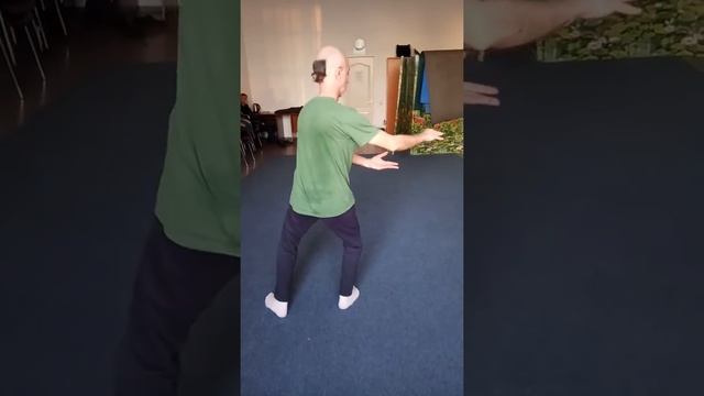 Bagua Zhang. Багуа чжан, 1-й круг смотреть онлайн