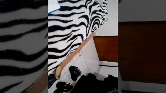 Учеба в Черногории смотреть онлайн