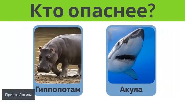 Расширяй кругозор! Решай СВЕЖИЕ ЗАГАДКИ НА ЛОГИКУ ДЛЯ ТВОЕГО IQ! смотреть онлайн