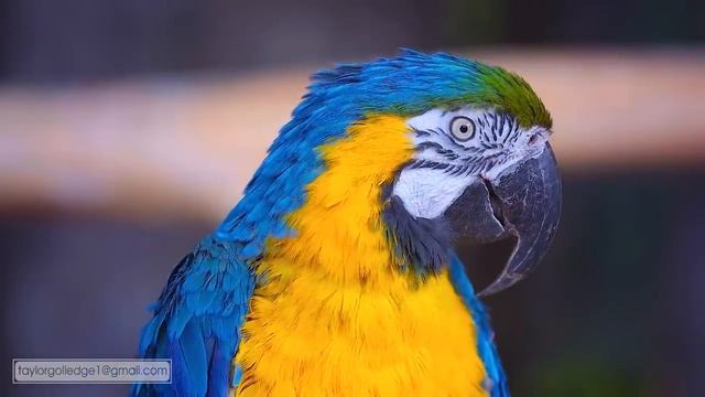 Мгновенно снимайте стресс и тревогу?детоксицируйте негативные эмоции?целебная музыка для сна смотреть онлайн