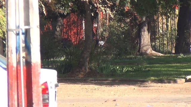 Prueba Test HDR-CX130 HD-Chile смотреть онлайн