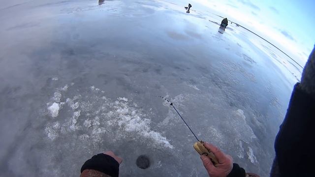 Ice-fishing. Perch. Безмотылка в сезоне 2015-16 года. смотреть онлайн