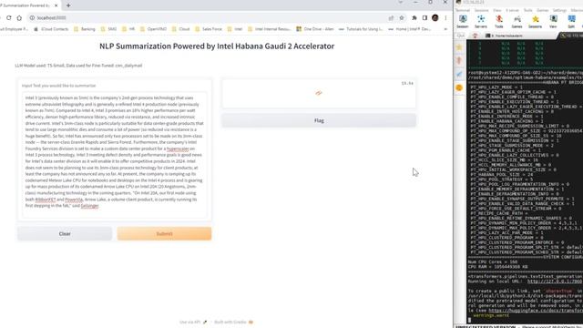 NLP Summarization with Intel Habana Gaudi2 GUI смотреть онлайн