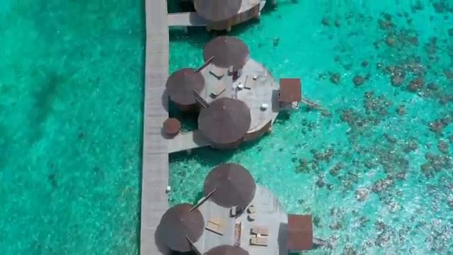 Drone-4k-footage-bora-bora-beach-french_clip2