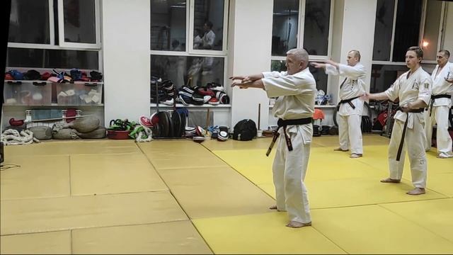 Секреты силового дыхания в Киокушин от ханши Владимира Молотова, 7 дан Киокушин Будокай кан смотреть онлайн