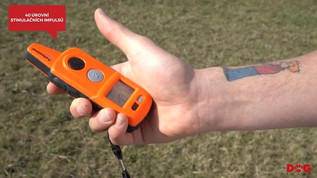 d-control professional | Dogtrace смотреть онлайн