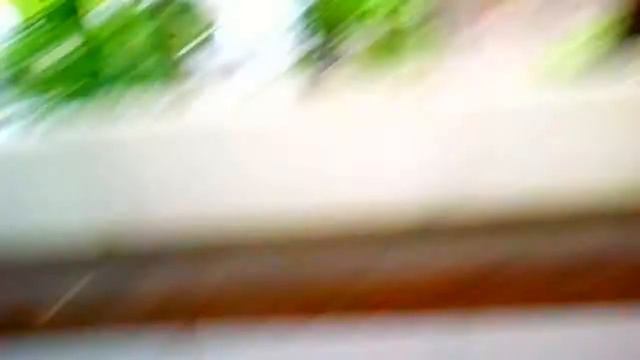 VLOG с дачи/// часть 1// смотреть онлайн