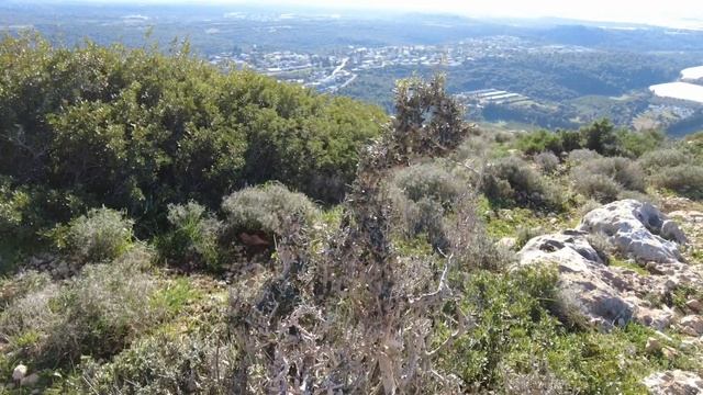 НАША ЗИМНЯЯ СУББОТНЯЯ ПРОГУЛКА В ПАРКЕ АДАМИТ НА СЕВЕРЕ ИЗРАИЛЯ. ПОТРЯСАЮЩИЕ ВИДЫ. ЗАКАТ В ГОРАХ. смотреть онлайн