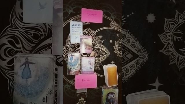You've manifested your Ex back? #scorpio #pisces #tarot #tarotreading #manifestation смотреть онлайн