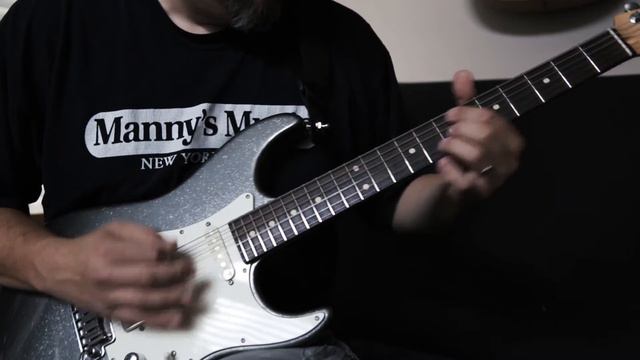 Friedman Smallbox Wildwood Edition - Anderson Strat