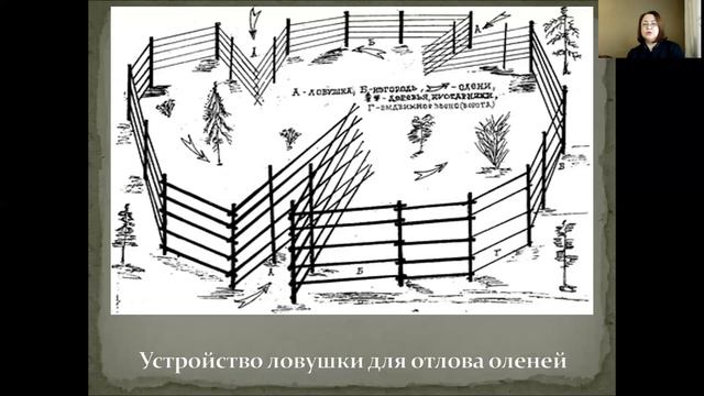 Дәріс тақырыбы: Жабайы тұяқтыларды есептеу мен ұстау әдістері смотреть онлайн