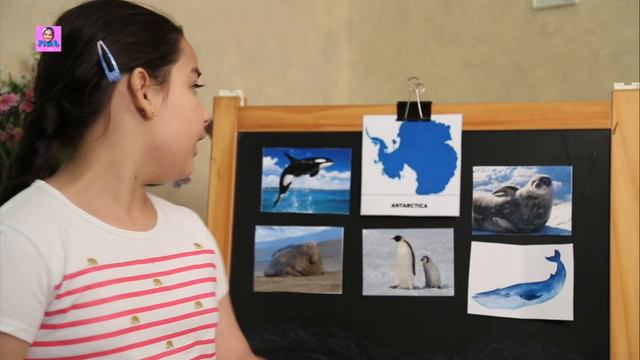 Animals Of Different Continents | Learn Animal Names For Kids | GK For Children