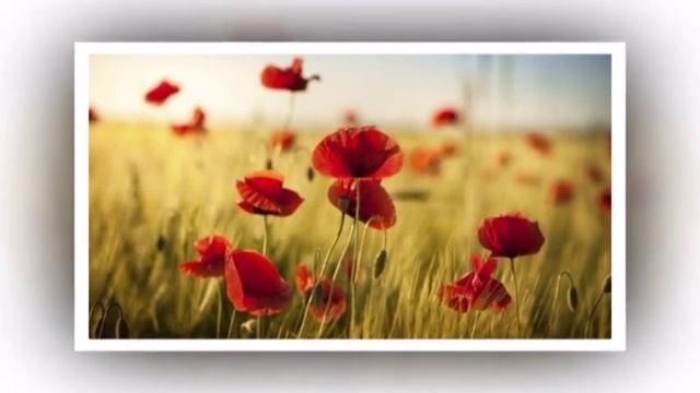 Скажи спасибо перед сном. Зиля Аипова смотреть онлайн
