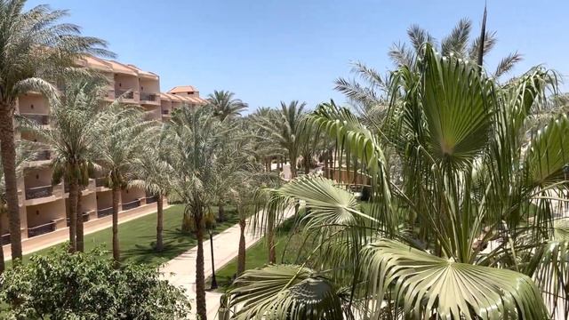 Самара-Москва-Хургада.Видеокассета.