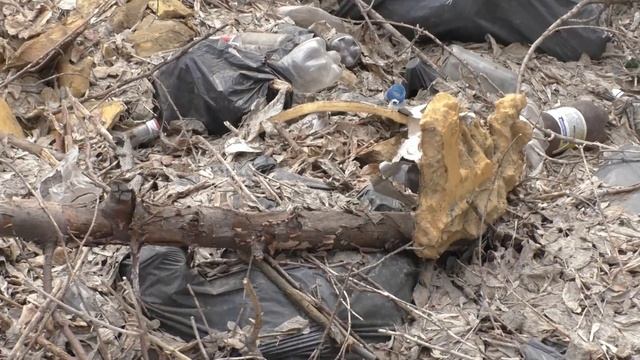 С Днём международной солидарности трудящихся! Маёвка г.Барнаул смотреть онлайн