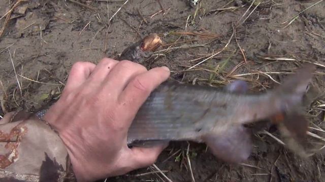 Рыболовное Спасение