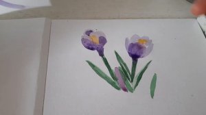 Акварель для начинающих.  Как нарисовать крокусы