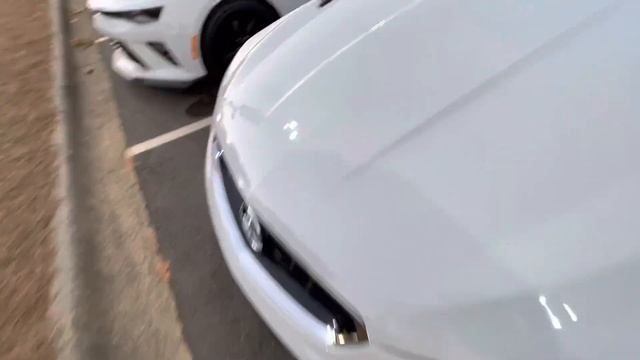 2017 Chevy SS / Holden Commodore (cooler than a Camaro) смотреть онлайн