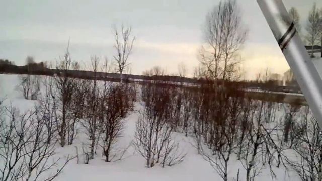 коп в лесу смотреть онлайн