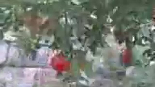 Баклажаны и гранатовое дерево-By Mr Alen33 смотреть онлайн