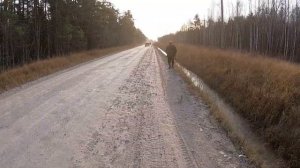 Охота. Загонная охота на оленя и косулю. В гостях круто!