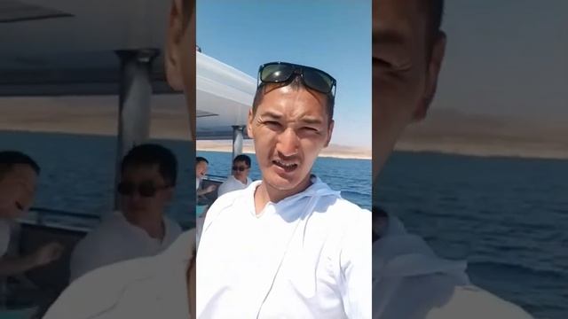 Белый остров. Египетские Мальдивы. Экскурсия на белый остров 2021год. смотреть онлайн