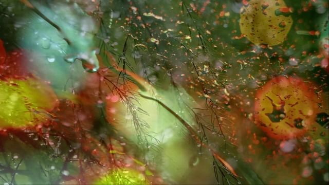 Peter White - How Deep Is Your Love.mp4 смотреть онлайн