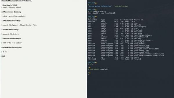 How to Mount and Format USB in WSL 2 | Windows | Ubuntu
