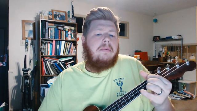 Flowers In The Window | Travis (Uke) смотреть онлайн