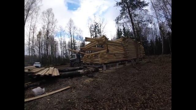 Дикий сруб - Отзыв заказчика  спустя два дня с начала строительства дома из бревна ручной рубки.